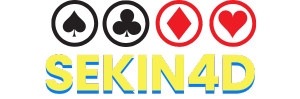 Logo SEKIN4D